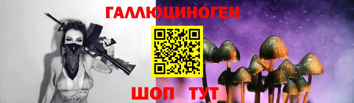как найти закладки  Вход с VPN  Кизляр  Псилоцибиновые грибы мицелий  Галлюциногенные грибы Psilocybine cubensis 